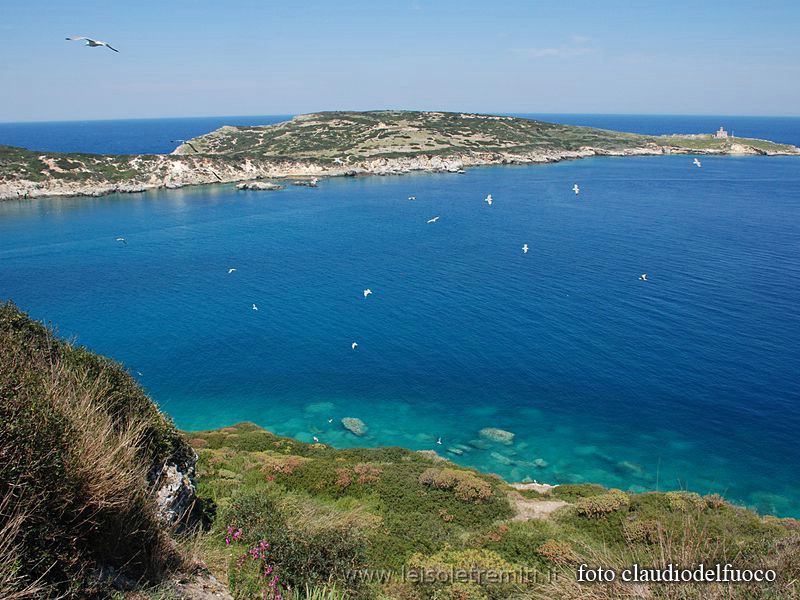 isola-di-capraia-tremiti